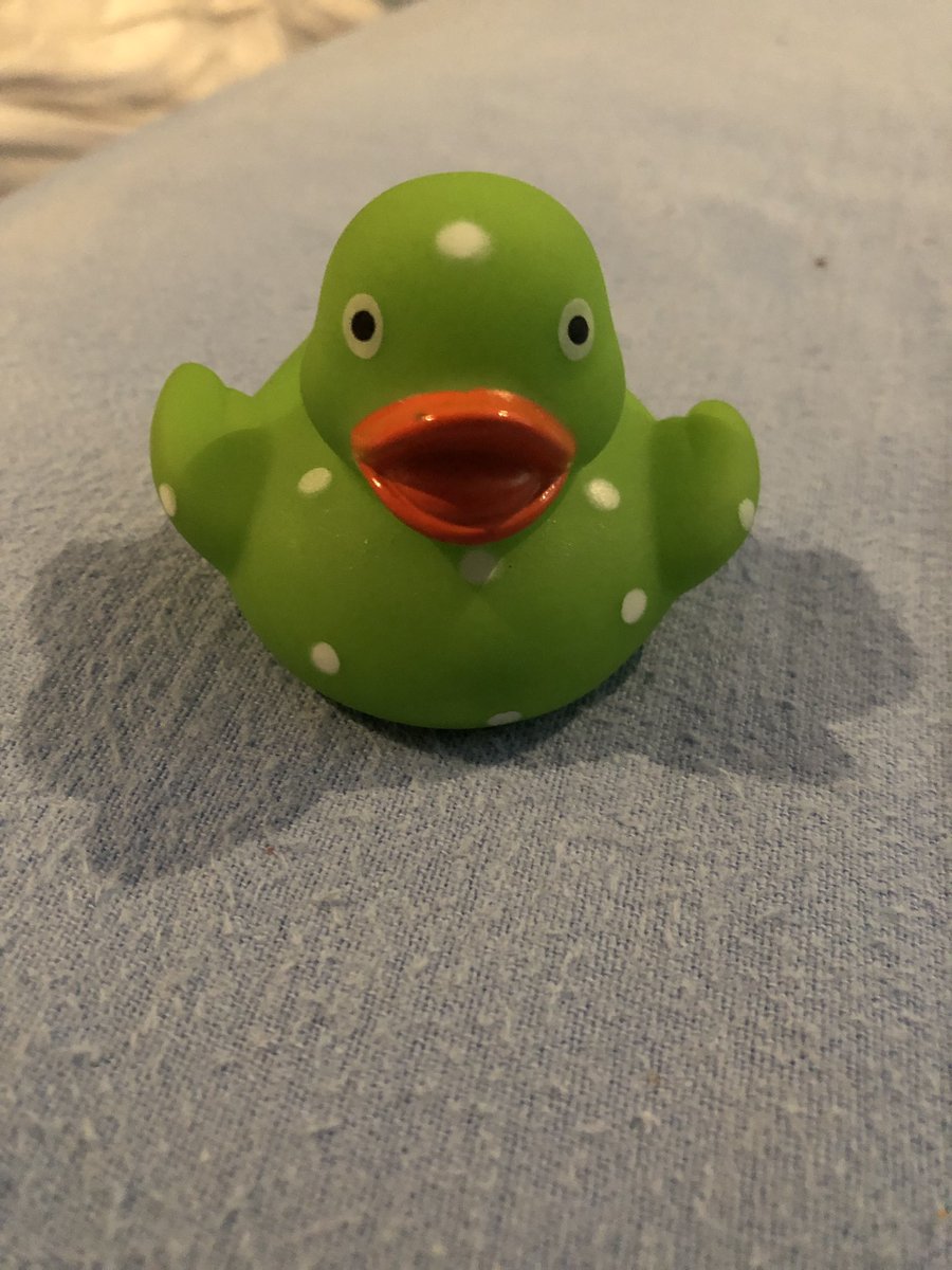 cannonmark14's tweet photo. Found a rubber duck last night in town, this made me so happy https://t.co/mYqGItWchh