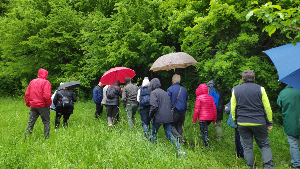 WWFMolise's tweet photo. Alla scoperta delle piante officinali e commestibili dell'Oasi WWF Guardiaregia-Campochiaro con l'agronomo Michele Tanno - Associazione Arca Sannita #giornataoasi #Molise @WWFitalia @WWFOasi https://t.co/J6NGxxUIdf