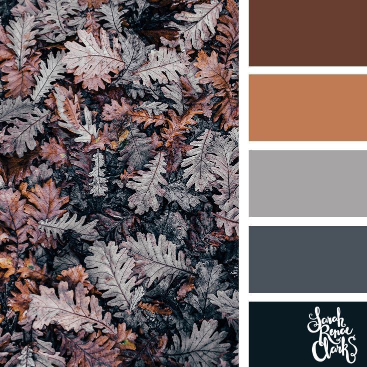 FMamka's tweet image. mamka.moscow palette: Fall leaves color palette | #fallcolorpalette #fall #colorscheme Лучшие цвета для детской - советы дизайнеров
