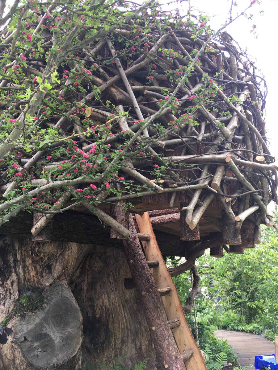 kgimson's tweet photo. Just arrived #RHSChelsea. First view of Kate’s garden. Wow, that’s some tree trunk supporting the treehouse #backtonature #garden https://t.co/nFkfRQhveh