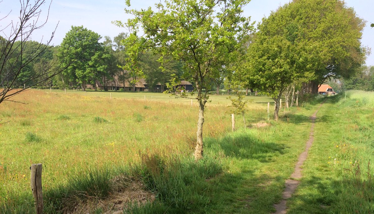 ToniMelenhorst's tweet photo. De ooievaar zit vol trots en parmantig op haar nest. Prachtig toch. #dereest #drenthe #lekkerweer https://t.co/um6ELuK3zd