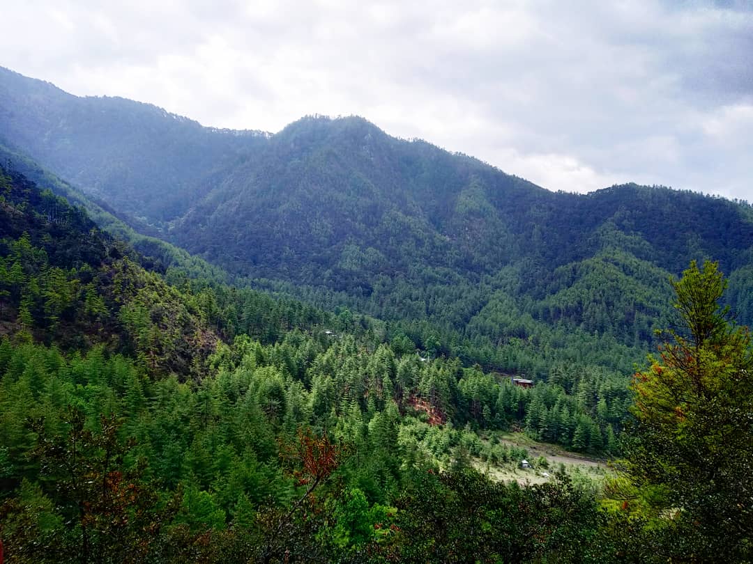 Please your eyes to some green
#nature #refresh #clean