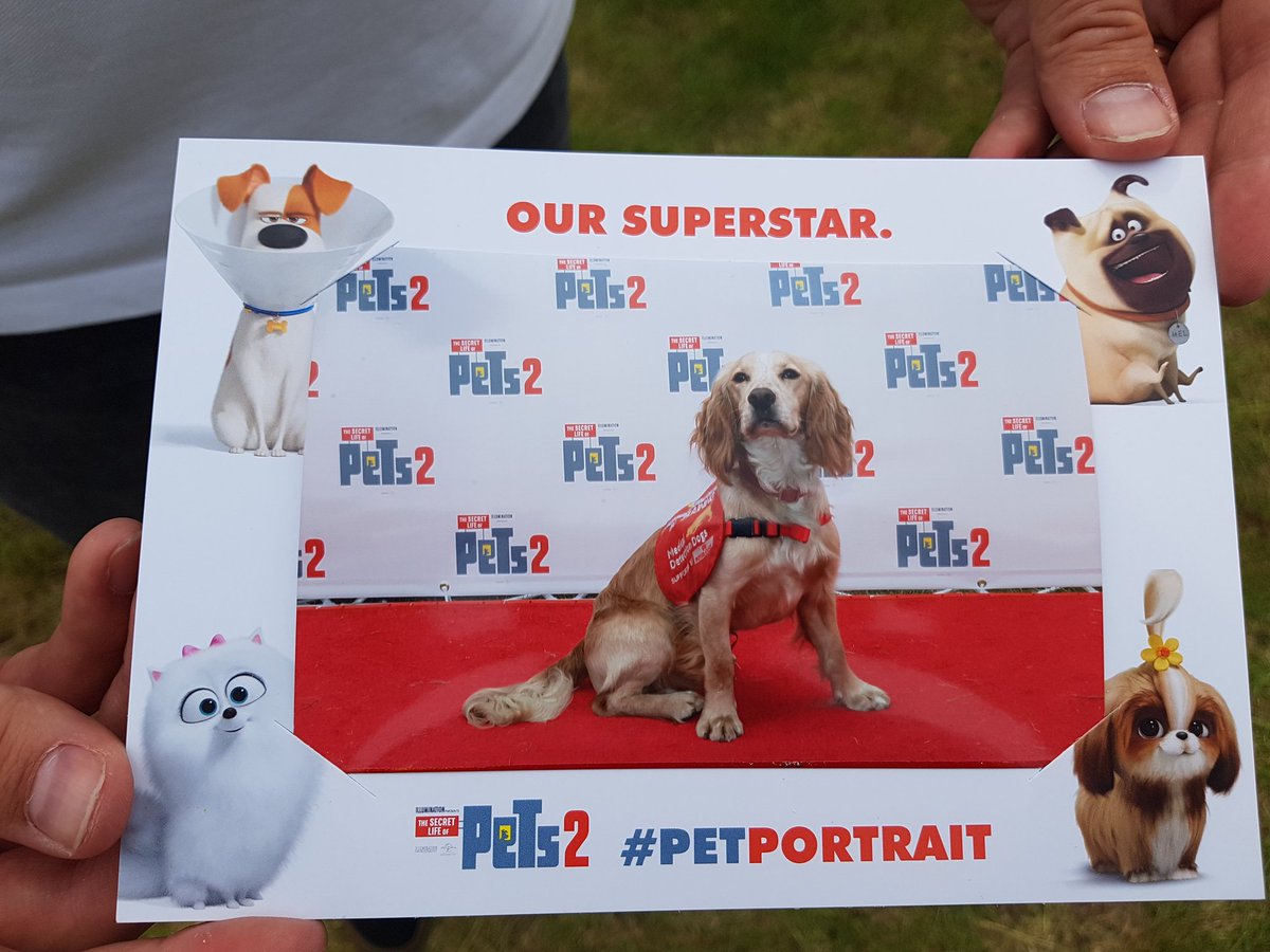 Lovely photo of <a href="/MedDetectDogs/">Medical Detection Dogs</a> Archie at #petportrait at Essex Young Farmers Show!