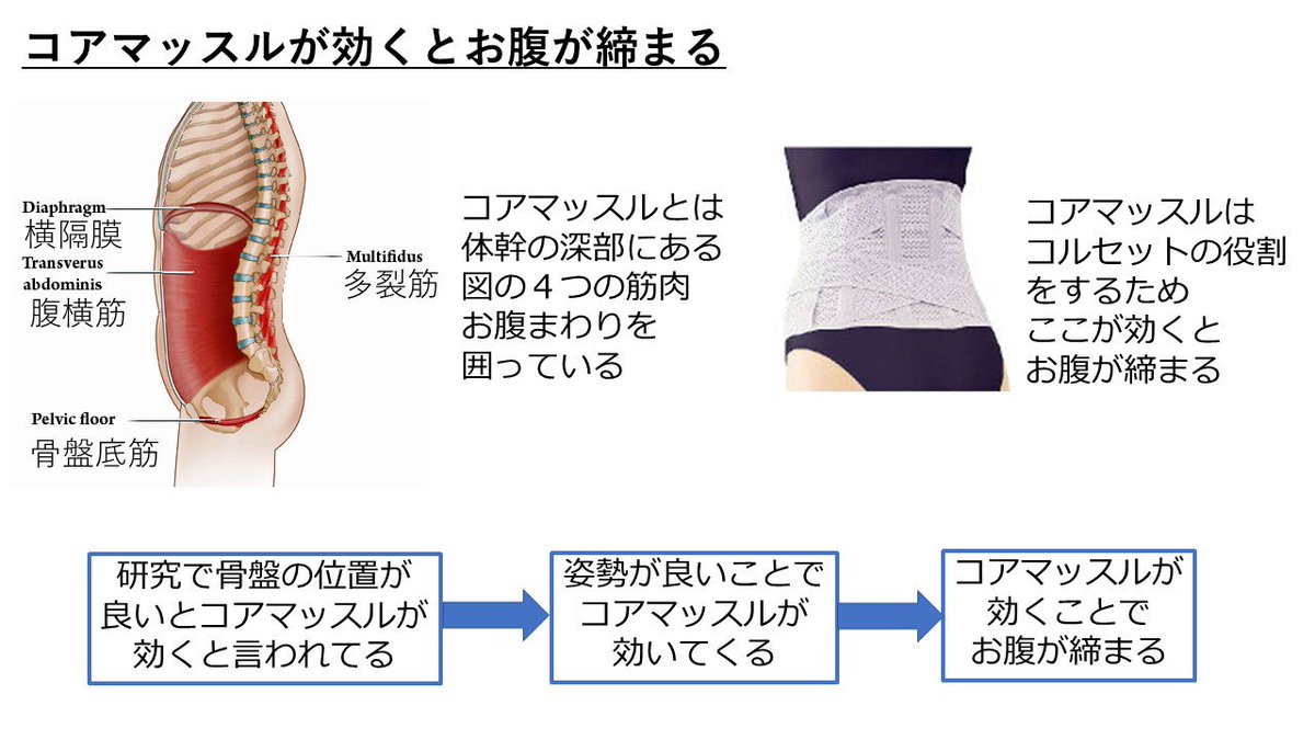 理学療法士キリツ 姿勢良くする人 Twitter પર ぽっこりお腹を治すには 姿勢を良くすべき 姿勢が良くなると 単に姿勢が真っ直ぐになり お腹が目立なくなるだけでは ありません 姿勢が良くなることで お腹にあるコアマッスルが働きます するとコルセットの役割をして