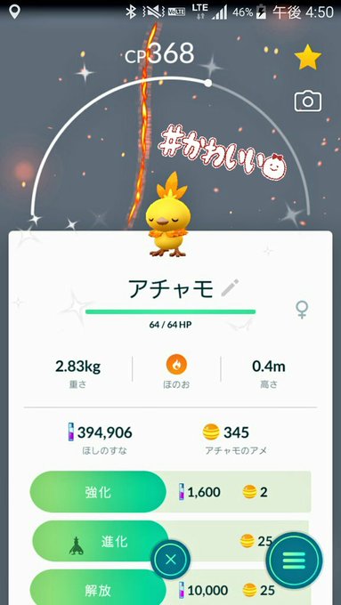自慢 アチャモのオス メス姿の違いあるの知ってる みんなのポケgo みんポケ