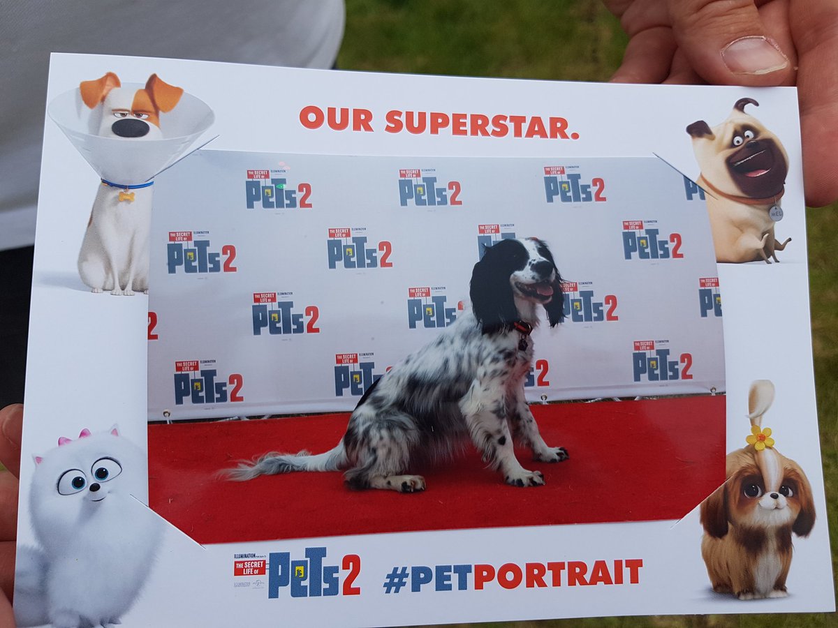 Lola couldn't be left out of the #petportraits 😍