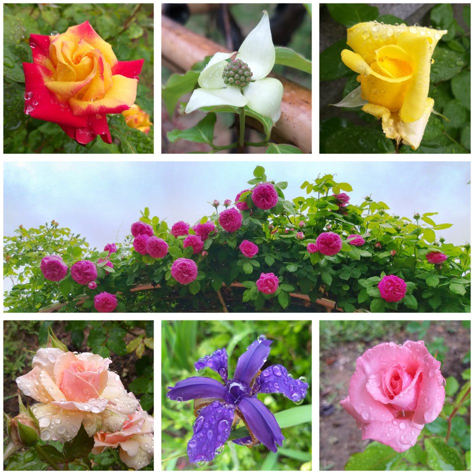 물기 촉촉 싱그럽다~^^