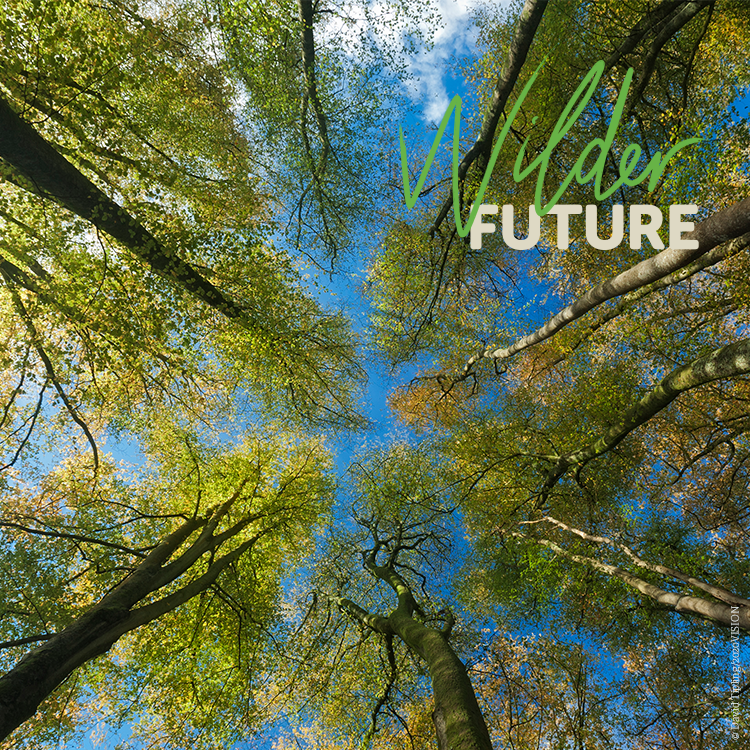 The Wildlife Trusts tweet media