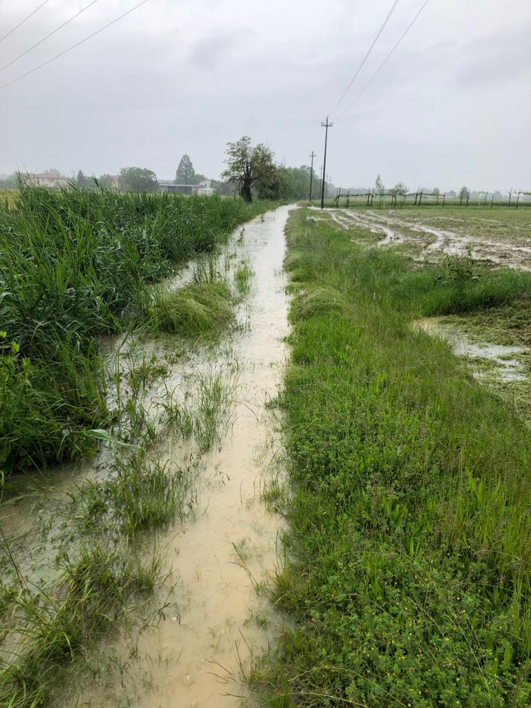ColdirettiVene1's tweet photo. Capezzagne come fossati, campi di mais che sembrano risaie, la morte del granoturco per asfissia: scene di maltempo dal Veneto #maltempo #veneto #campagna #agricoltura https://t.co/dNo3OrV6K6