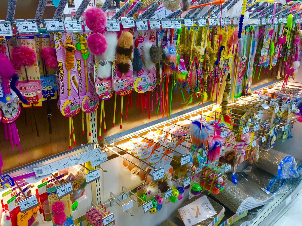 kento_spectrum's tweet photo. wow there are many kinds of toys for cats in Japan's home improvement store.
#Japan #pets #toys #cats #Unidy https://t.co/U8nyUeD124