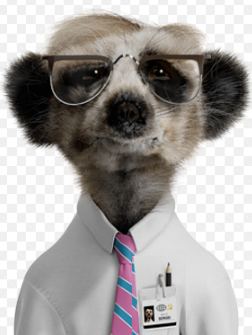 Pinagarry's tweet image. Russian interference suspected in 2019 Australian election.  Investigation likely.  Two suspects identified.  First victim of interference #Billary!  @RitaPanahi @rowandean @pwafork #pmlive