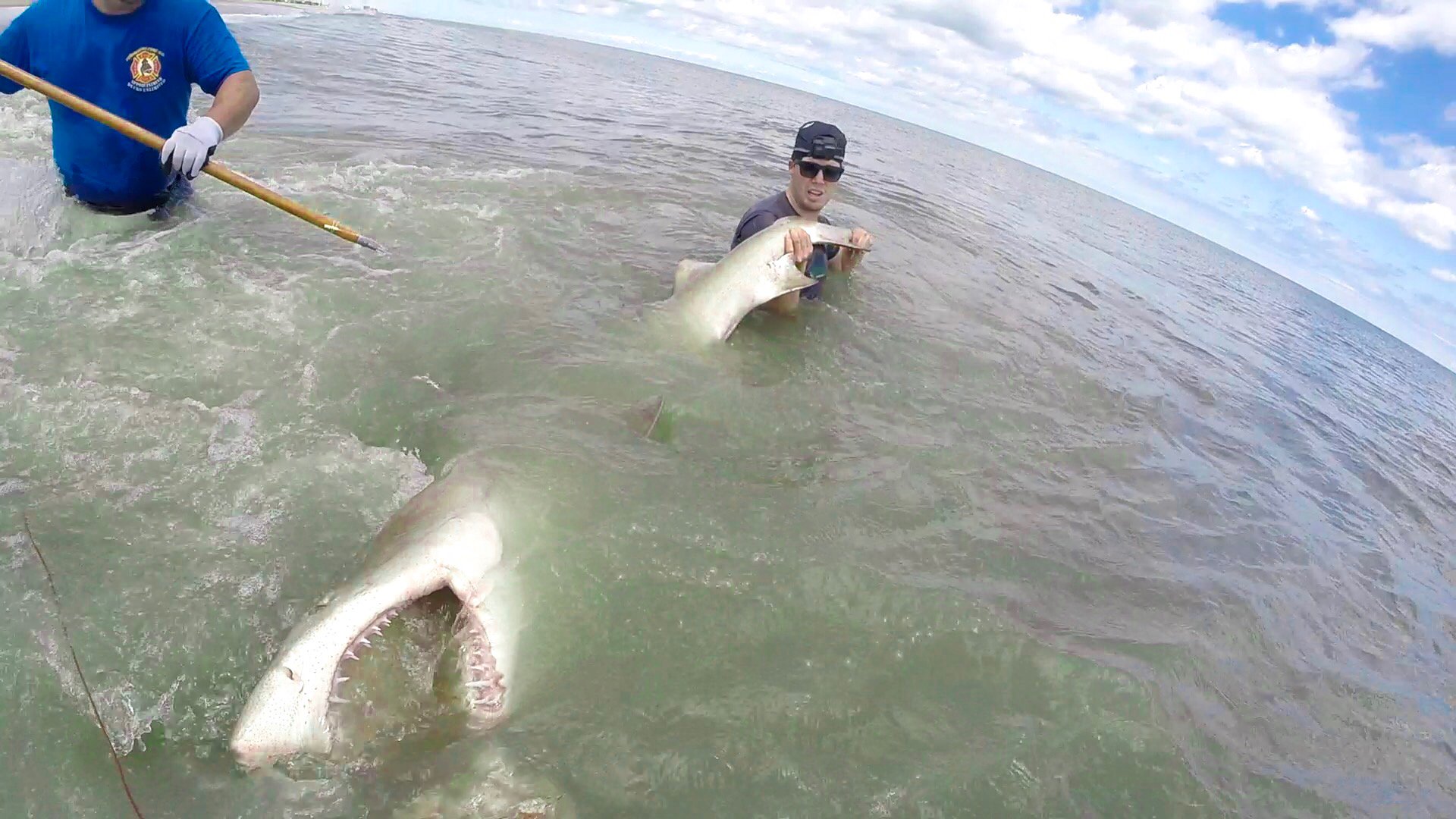 Jason Shark Fishing (@Jasonsharkfish) / X