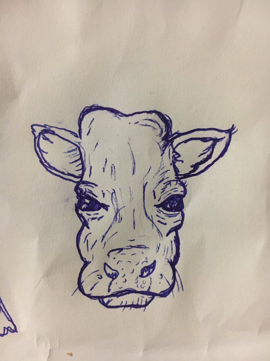 Amzster1990's tweet photo. Man the coffee machine... in work itโs dead in here... do something productive ok... I will draw a cow. ๐ค #drawing #productive #workisdead #sos #bored #sundayssuck https://t.co/dZ2ex0BXUV