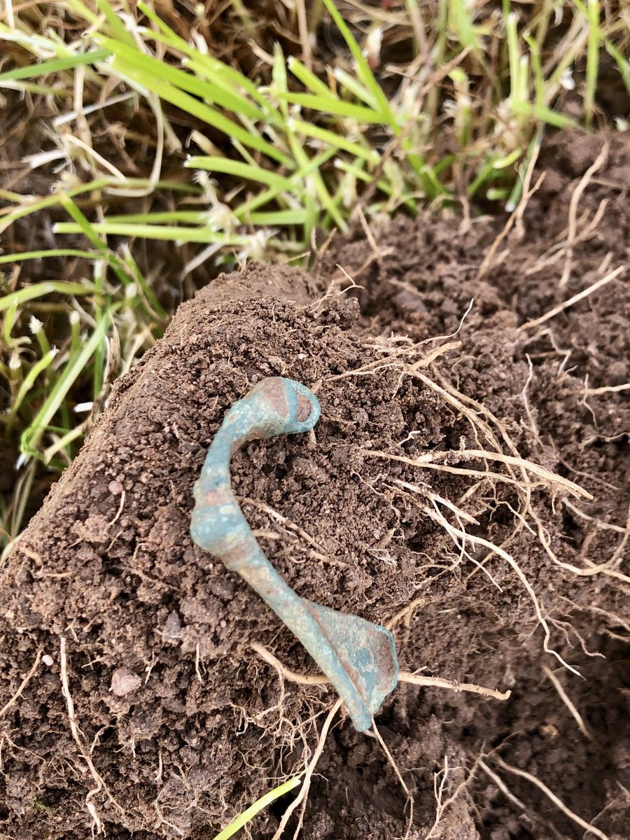 Into the Roman this morning!! 🐶👍🏽