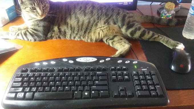 Child, thank you for no longer taking up my whole screen, but please do tell... Are you comfortable enough<a href="/tag/cutes"class="tags"><span>#cutes</span></a>