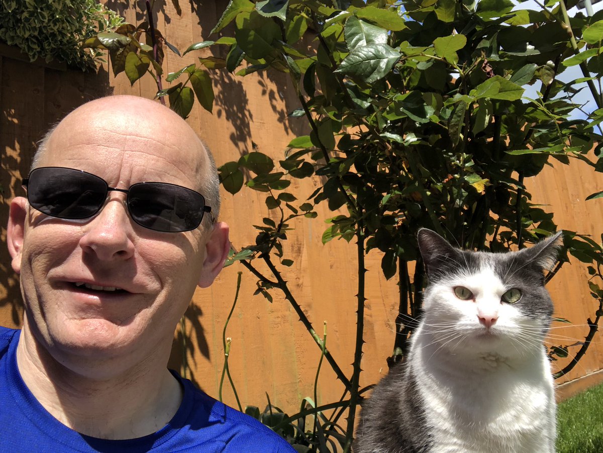 ecfcjohn's tweet photo. @CatsProtection @CPExeterAxhayes My shadow Daisy #CatMenDo https://t.co/eo5vIgyOjJ