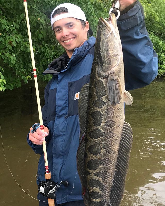 SPORTSMANchnl's tweet photo. Do you know what this fish is, and have you caught one? - Doomsday Tackle Co.

#IAMSPORTSMAN #fishing #freshwaterfishing #bucketlistfish #timeonthewater https://t.co/xDmYcna3CE