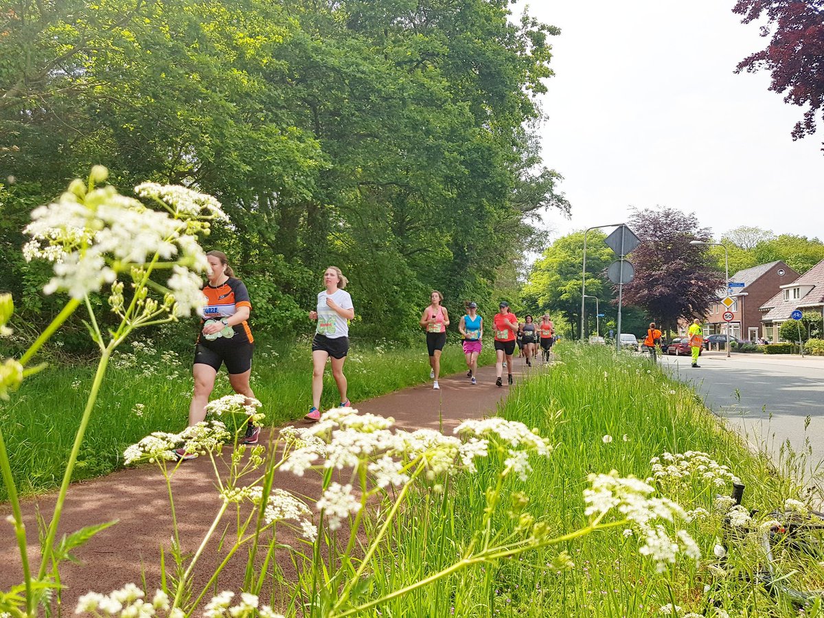 Marikenloop's tweet image. Bina terug!