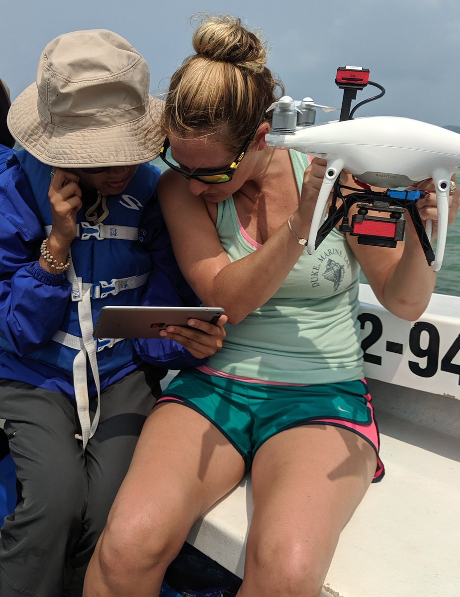 kellydobroski's tweet photo. Step 2: prepare our equipment for surveys! We're using @DJIGlobal Phantom 4 #drones; @MarineUAS lead #engineer fitted this Phantom 4 Pro with a multispectral sensor for our #mangrove surveys to collect information like plant health. #drones4good #DukeBassinBelize #mangrove #drone https://t.co/SnGVeANvPE