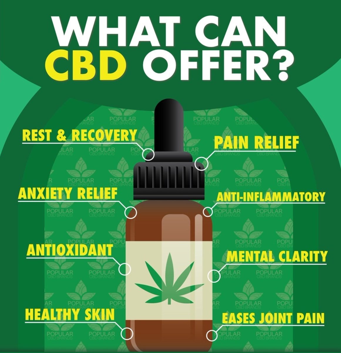CbdBody tweet picture