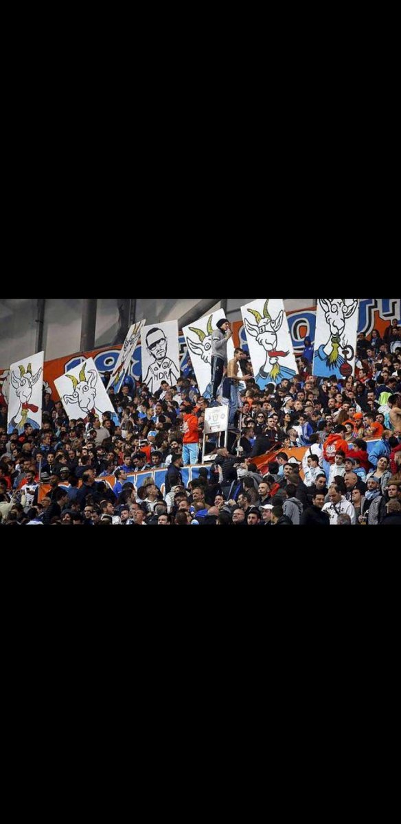 clement_roig's tweet photo. @MarsigliaTifosi @CristanteLea Vous êtes tellement fier de votre club que y a 3 ans de sa vous avez tellement fait une saison de merde et que vous "supporteurs" vous avez dit a vos joueurs que c'était des chèvres... reste fier de ton club! https://t.co/BHAALU0cCo