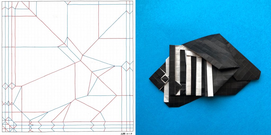 「石鯛」
創作折り紙完成！
折り紙(くろ)不切24×24cm
自然を楽しまないといけないって言い聞かせながらめげずに折り上げました。
#折り紙 #origami