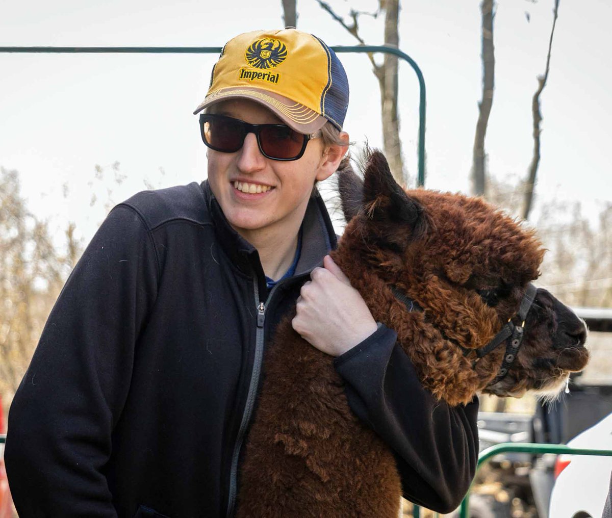 ohalpacas's tweet photo. More moments from a #shearingday we will never forget and a #volunteer team who were incredible.  Thanks again to all - but a special thanks to @modern.memories &amp; Ashley, our incredible #photographer who captures the day, the people and the fun so perfectly!

#alpacas #alpacacare https://t.co/n6zEBjtsOD