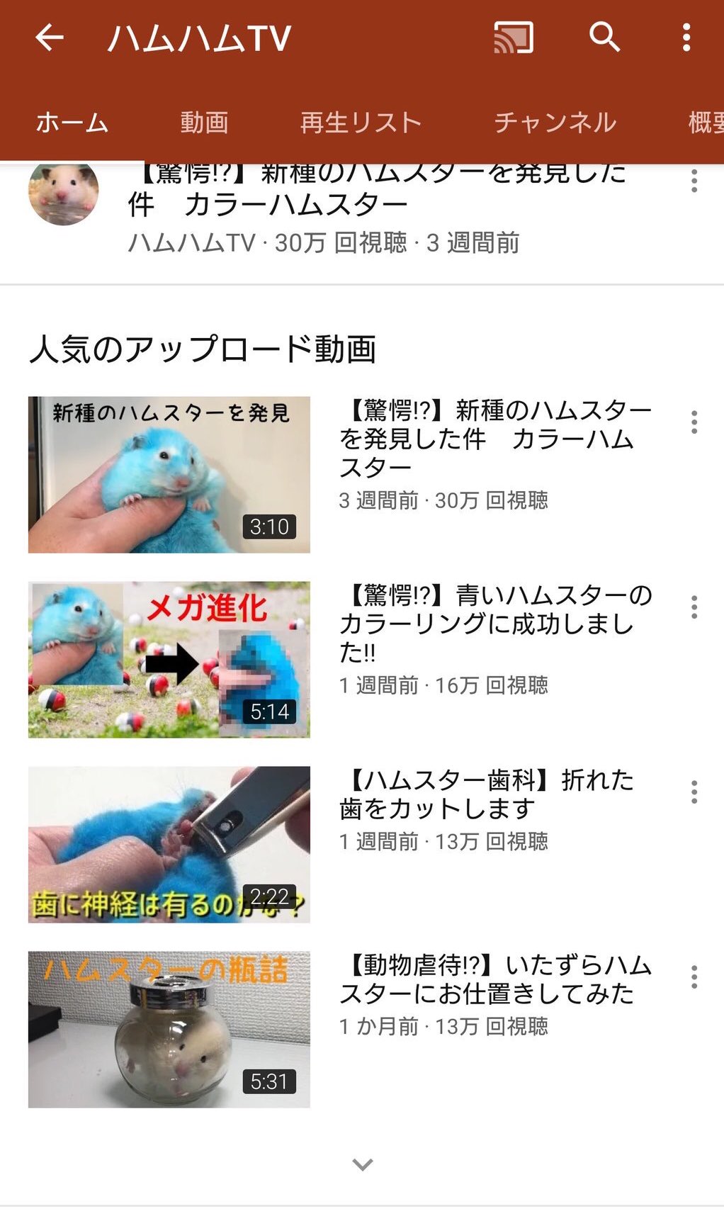 O Xrhsths 朝比奈南 Sto Twitter ハムスターを虐待しているこの人 本当に許せない ハムスターを瓶に詰めたり青く染めたり辛いもの食べさせたり土に埋めて死んだふりごっこをさせています 皆で違反報告しよう 動画視聴回数を増やさないために 閲覧はしない