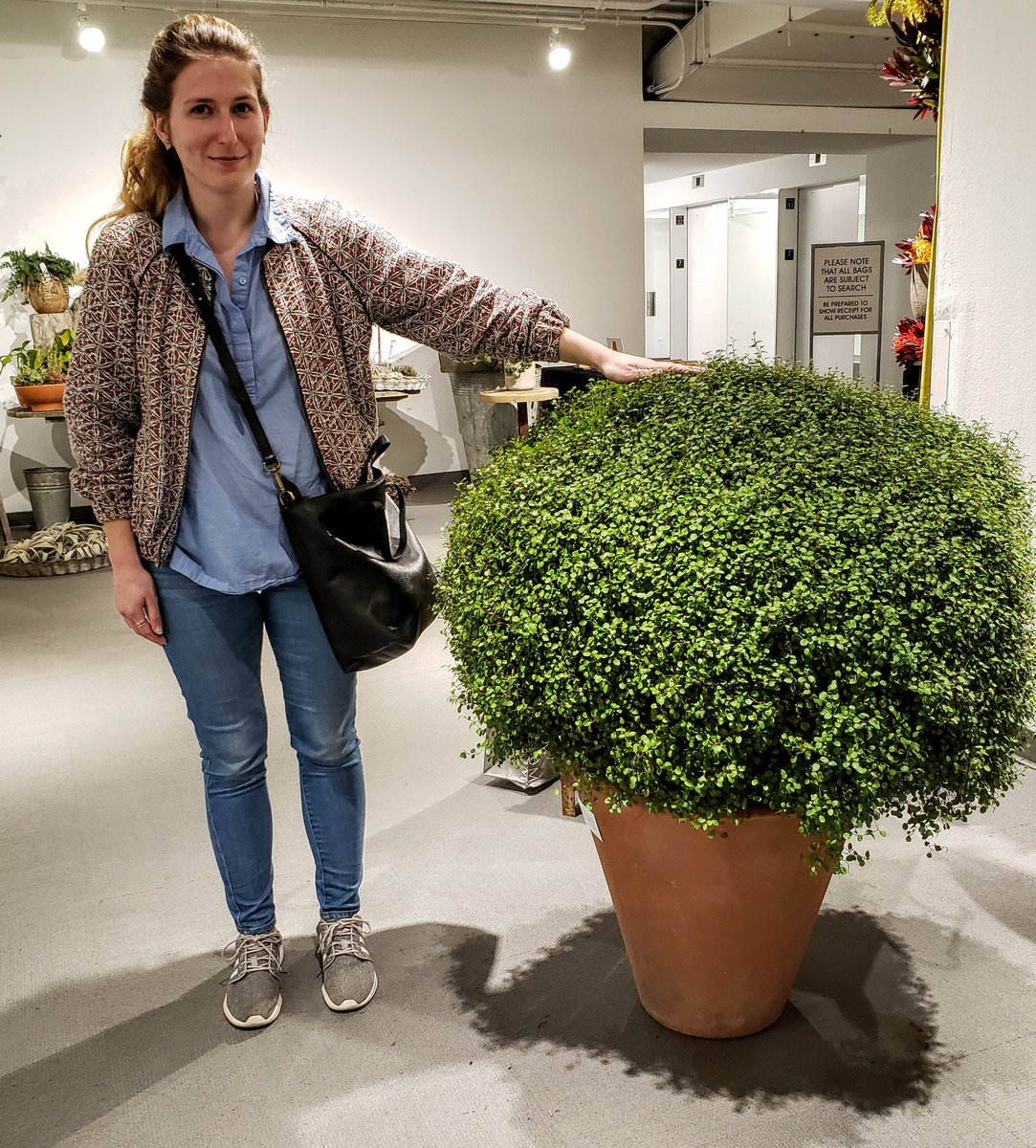 Michael Ryan tweet media