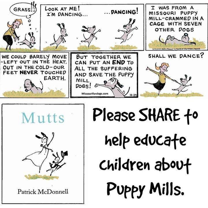 Please RETWEET to help educate about #puppymills. Thank you!