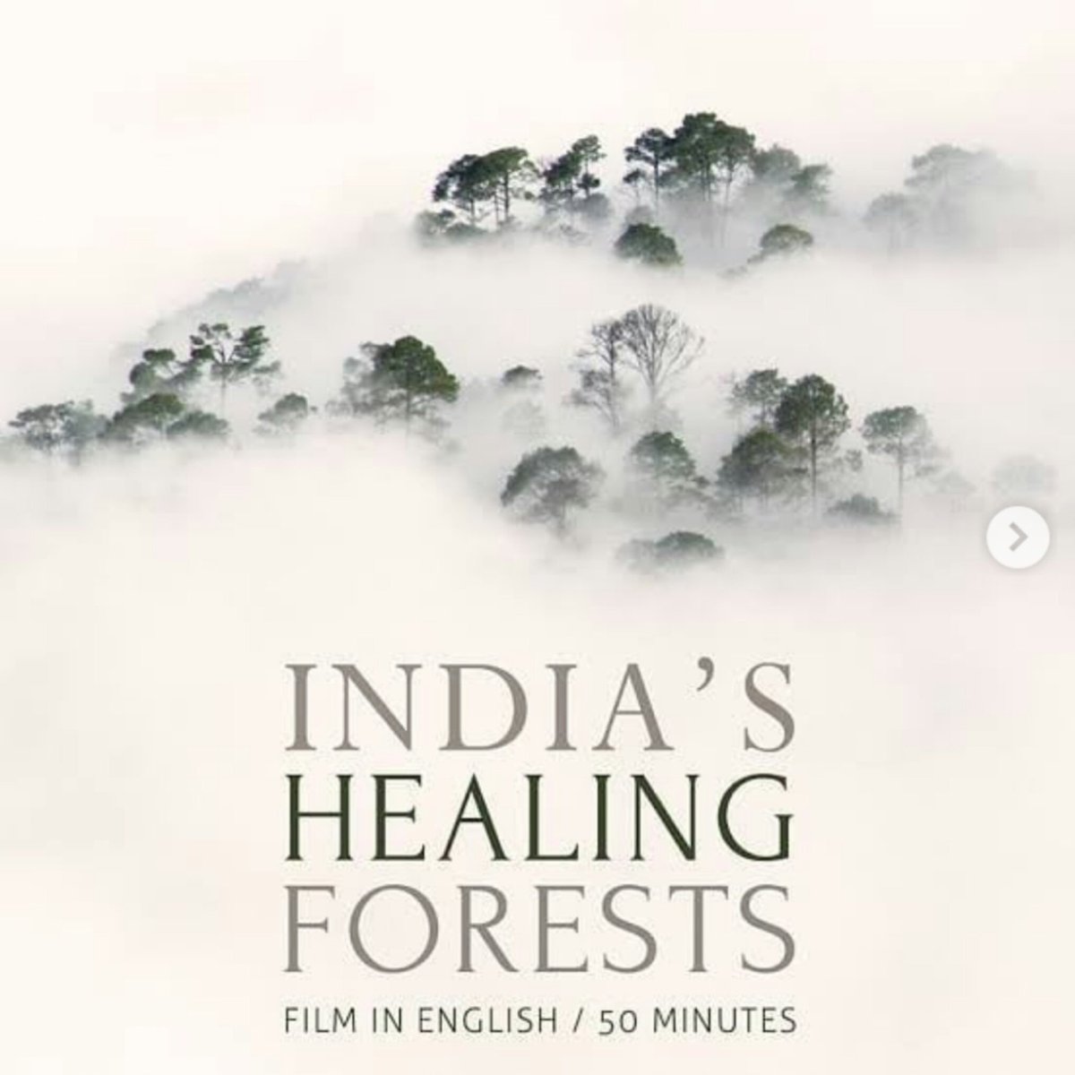 SaevusWildlife's tweet photo. " India's Healing Forests" is a journey to discover the magical healing powers of nature. To find ways to reconnect people with nature.
#greenhub #LGBRIMH #nitindas #healingforests #assam #tezpur https://t.co/FGV2SlPQBJ