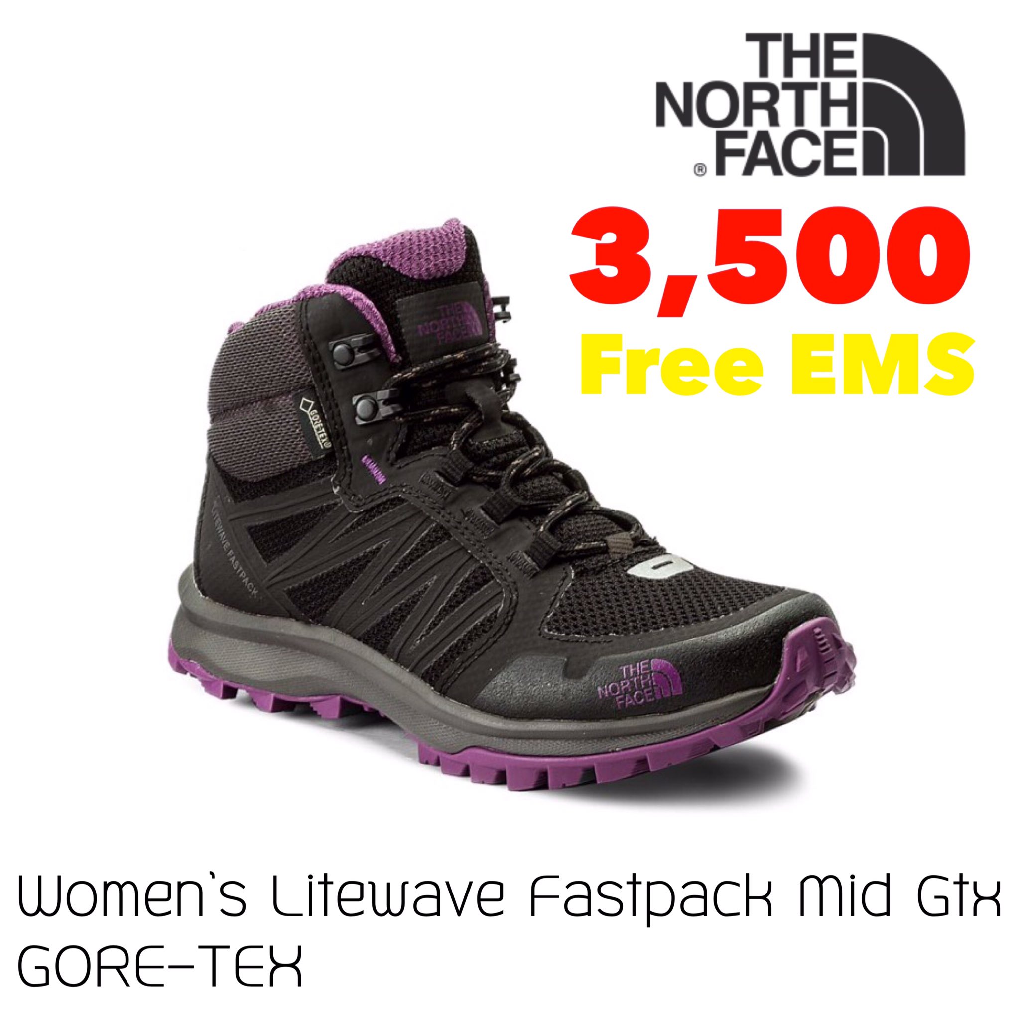 The north face w litewave fastpack sale