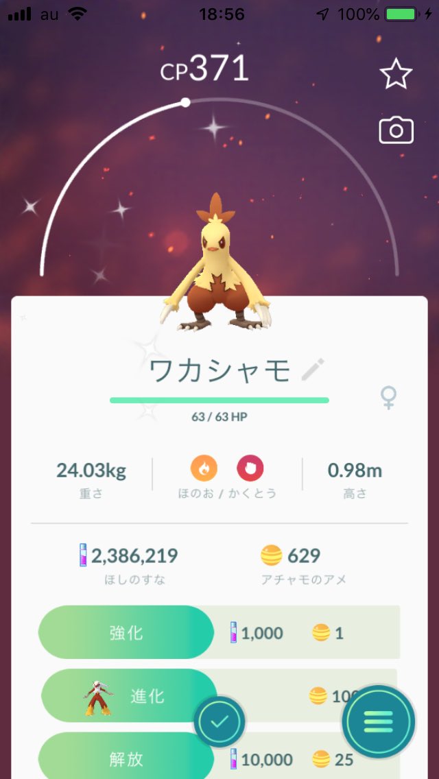 bobbymagic's tweet photo. 色違いメス。。。ポキモ〜〜〜ン! #PokemonGO #GoGoBobby #PoGoBobby https://t.co/s3Rsy26Pqg