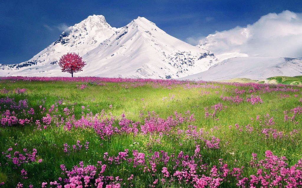 Seyyah şükür bahsinden okudu: "Nankör, sırtını dağa dayadığında ovaya övgü düzermiş, bereketli ovalarda yaşadığında ise dağların heybetine şiirler düzermiş. Sen nankör olma ey Seyyah! Şükrünü sermayen bil! Kimsenin elindekine göz koyma ki dağ sana heybet, ova sana bereket versin"