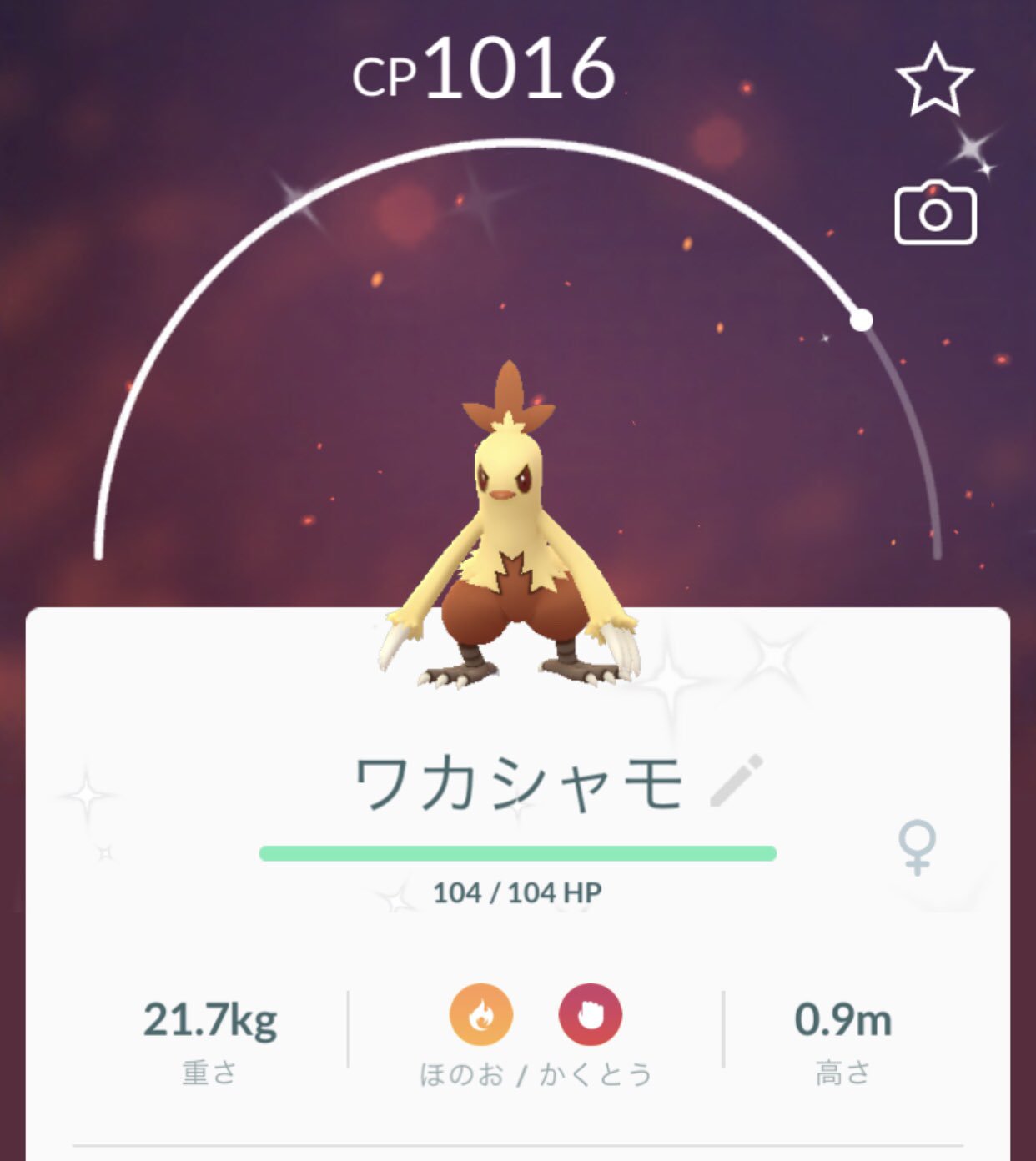 バシャーモ色違い Twitter Search Twitter