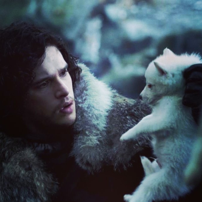 Game of Thrones virgin playing catch up! Better late than never...
#GOT #primetimeTV #catchingup #betterlatethannever #winteriscoming #8seasons #gameofthrones #TV #HBO #jonsnow #season1
