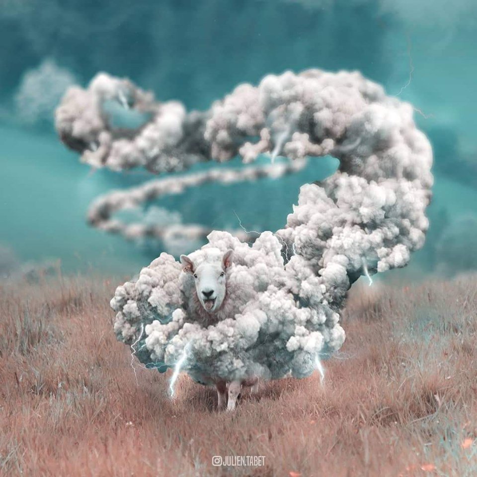 crisadernic's tweet photo. Asombroso trabajo. 😱😱 de surrealismo y asociación doble 😍 Por: @julien.tabet https://t.co/WmANFmI5kP