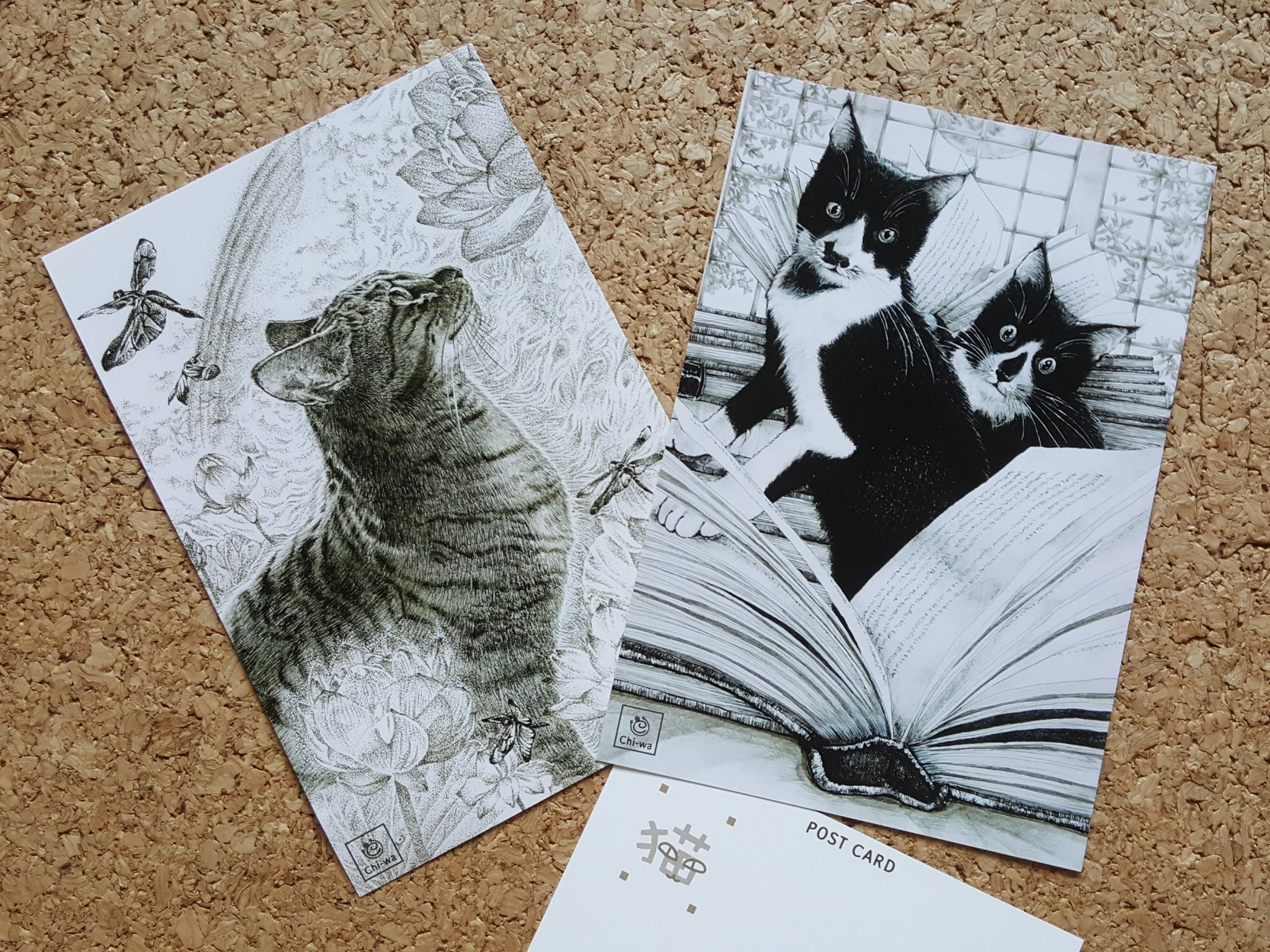 PEDRO 非売品CD サイン＋手紙（印刷） Yahoo!オークション - on_********さんの出品リスト