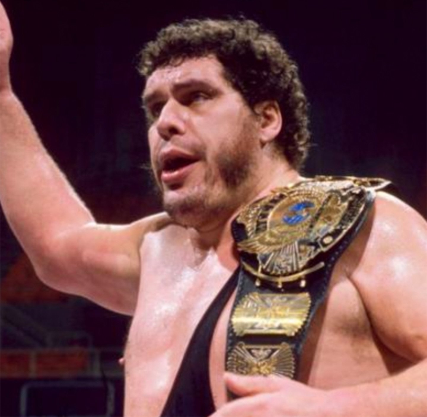 Wishing the late great Andre The Giant a Happy 73rd Birthday!  