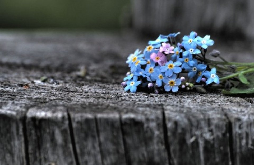 행복은
당신의 권리입니다

행복을 가지도록
자신에게 허용해 주세요