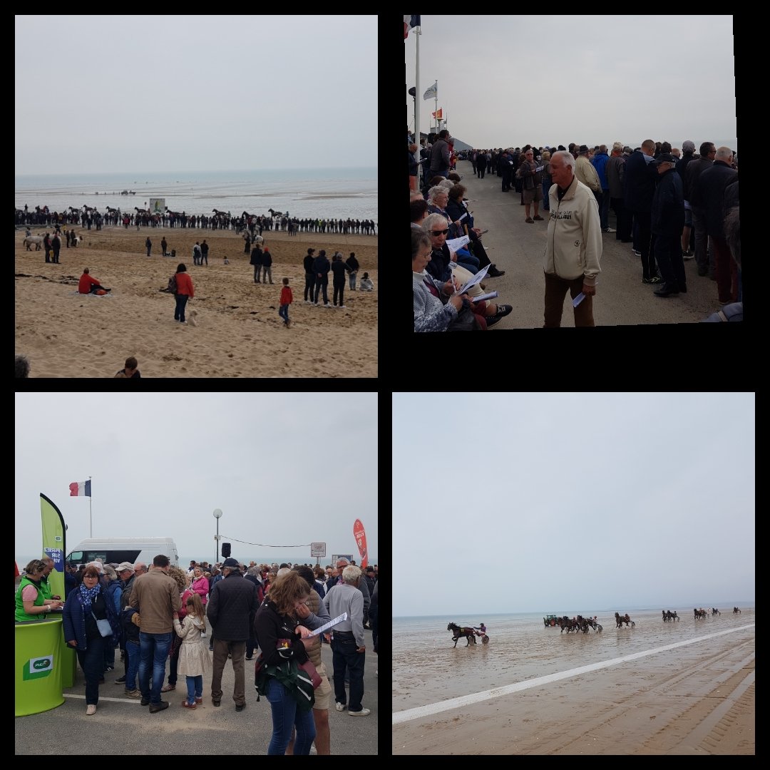 BrunoGerbexPMU's tweet photo. Julouville 😀 hippodrome éphémère sur la plage !
Spectacle magique !
La foule est au rdv 👍
Animations, courses, spectacle équestre...
Tirage au sort d'un nouveau gagnant de l'opération "Le rêve du Propriétaire" avec @EcurieTurfcom

@pmu @EtasseCeline
@GratzPatrick https://t.co/nAdQJQI1tk