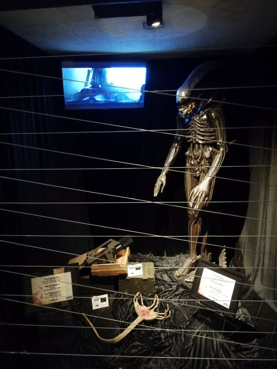 OskiSozanski's tweet photo. Hugh Jackman, Brad Pitt, Obcy, Gwiazda Śmierci w #MovieGate. 👽🛸 #NocMuzeów #NocMuzeów2019 #Wrocław #NM2019 #Museum #MuseumWeek #MuseumWeek2019 #MuseumNight #MuseumDay #IMD #IMD2019 #InternationalMuseumDay #NottedeiMusei #NotteDeiMusei2019 #NuitDesMusees #NuitEuropeenneDesMusees https://t.co/6iaH8ZWDvV
