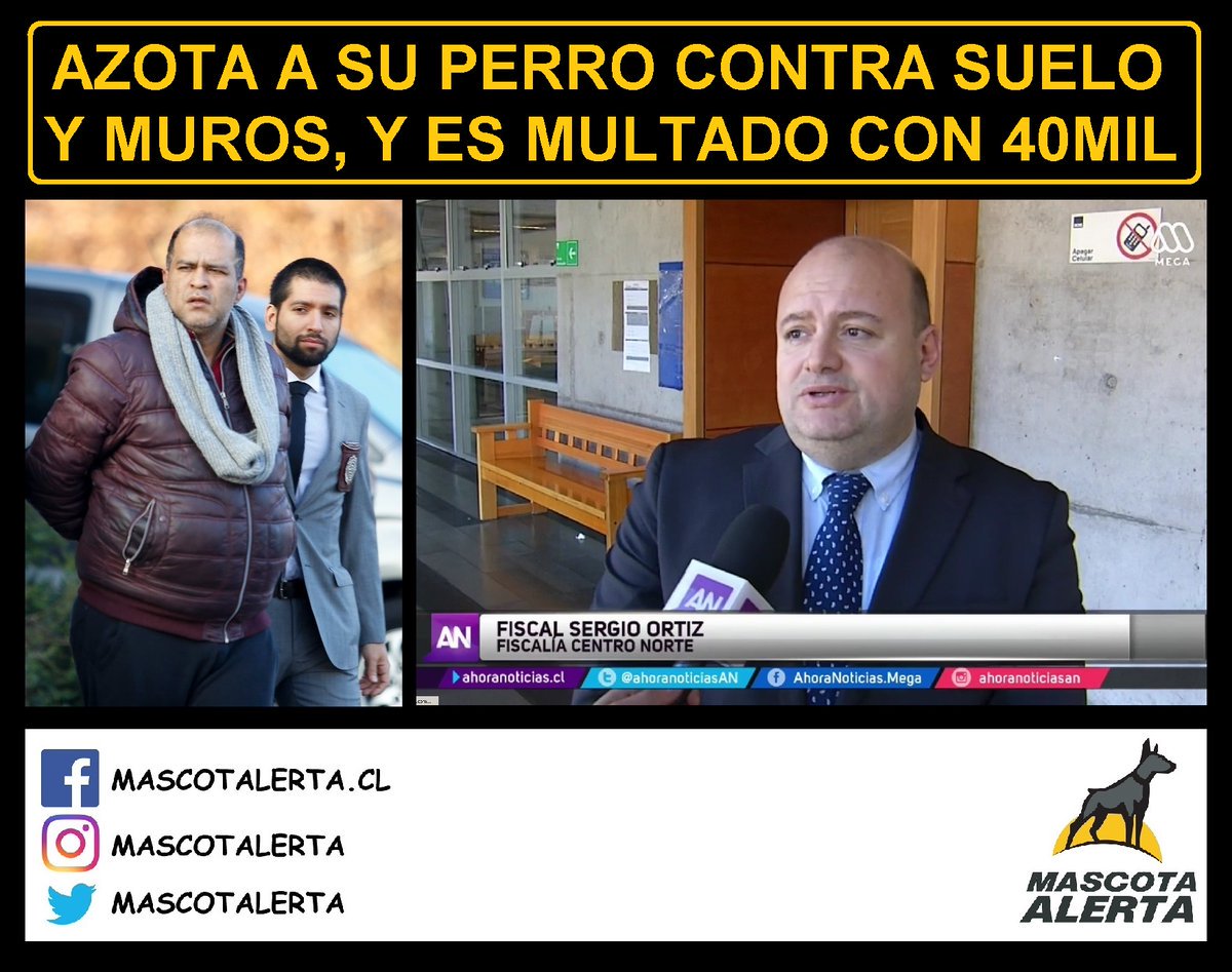 NinaPenquista's tweet photo. #LeyCholito Las multas hacia estos #distinguidos" son una vergüenza y ordenar devolver la mascota a su maltratador es increíble ... pero bueno para algunos los animales están al servicio del "hombre" No asista a los Circos con animales que se esfuercen por mostrar sus talentos ¿? https://t.co/YhoqL217su