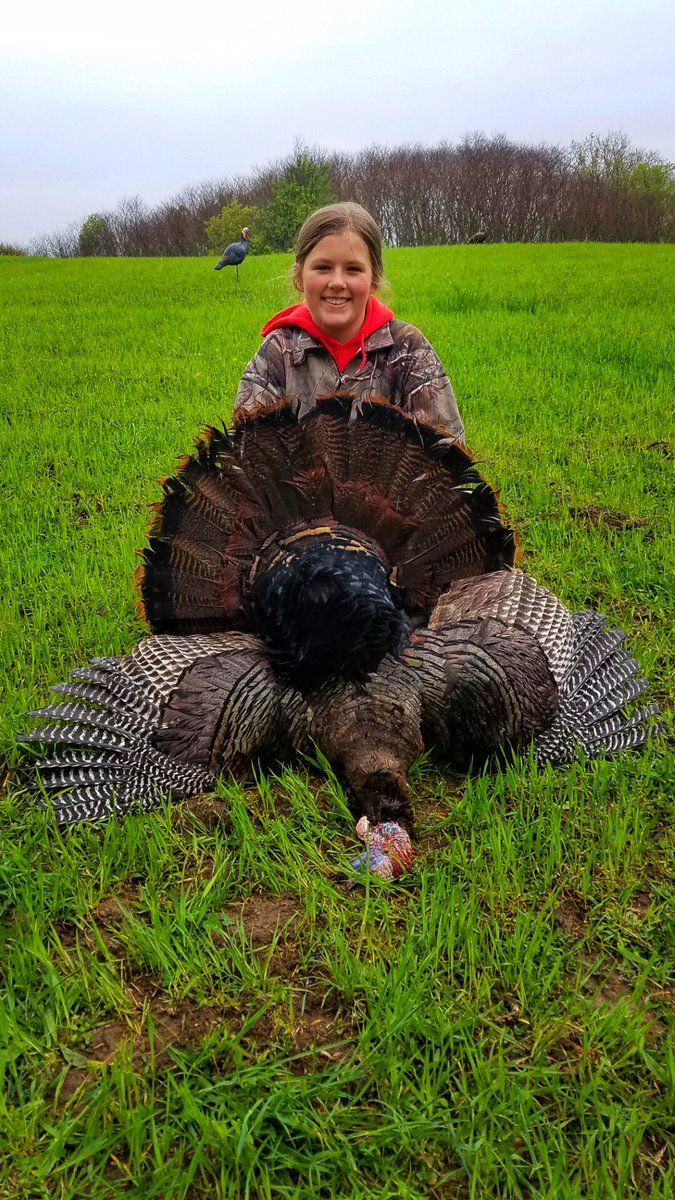 JoshSteinLand's tweet photo. My niece Aleeya with her first Turkey! 🦃 https://t.co/c0U2mBAMlx