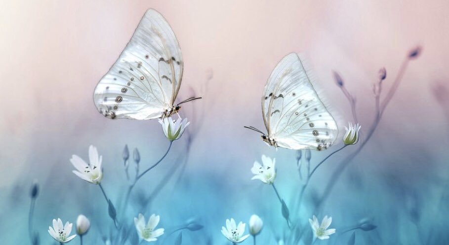 영혼과
마음의 갈등은

그 사람의 외모와
삶의 불균형과
말과 행동에 영향을 미친다

진정한 평화는
영혼과 마음이 조화로울때 형성된다