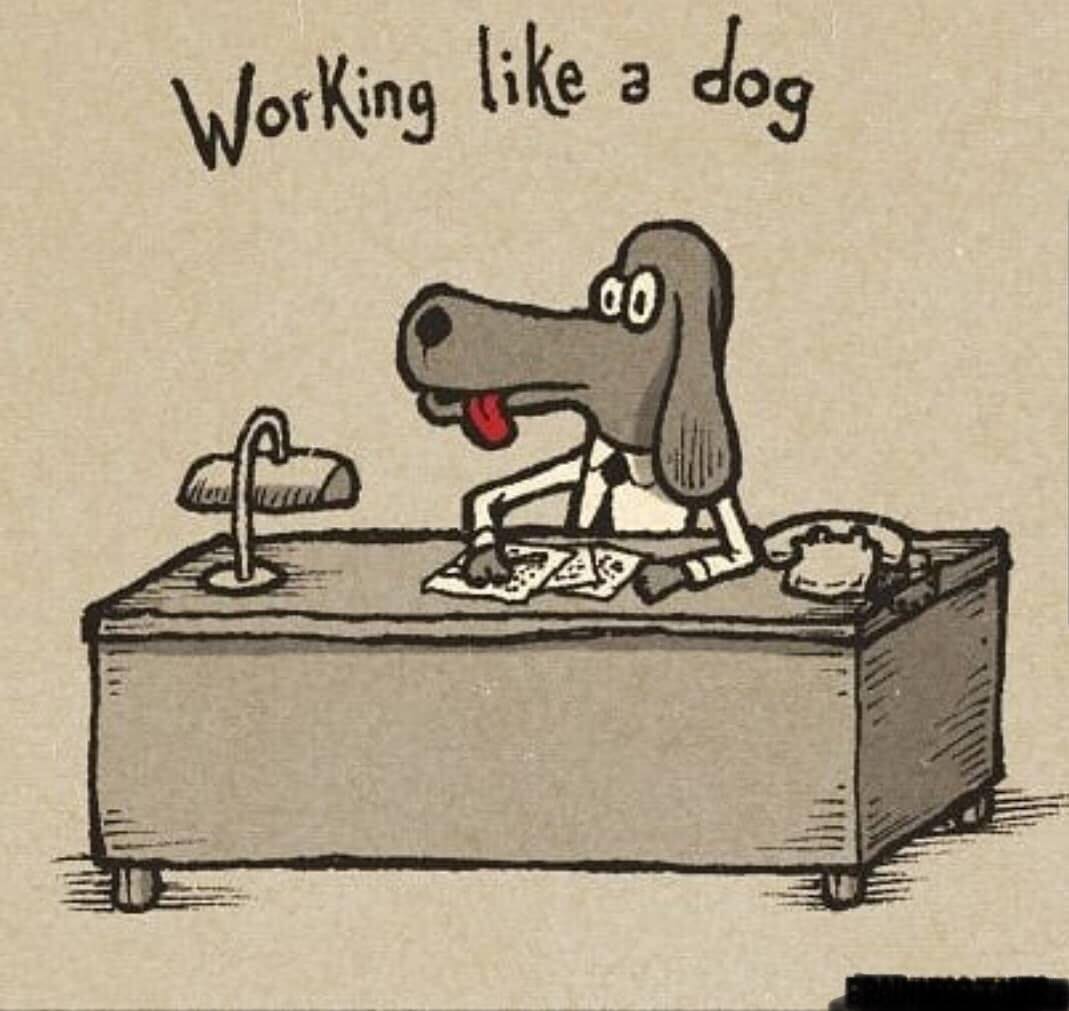 To work like a Dog