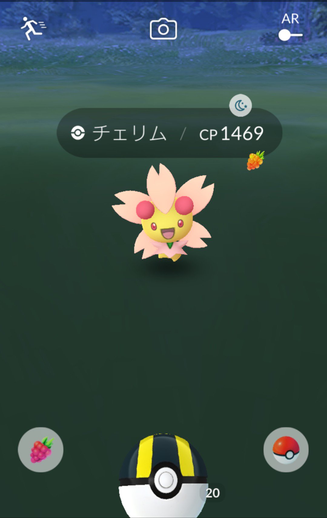 تويتر 水無月 Mister6zaki على تويتر コミュニティ デイの後も 新ポケ狙ってやってたら チェリムどっちのフォルムも とれたぞい にしても チェリンボいないなー ポケモンgo Pokemongo チェリム T Co 8qakm4e3lt