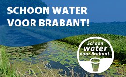 Onkruid bestrijden? Veel tips op internet zijn niet milieuvriendelijk en schadelijk voor tuin en drinkwater. “Schoon water Brabant” heeft  watervriendelijke tips. Kijk op schoon-water.nl, onkruidvergaat.nl of milieucentraal.nl of  cranendonck.nl/inwoners/nieuw… .