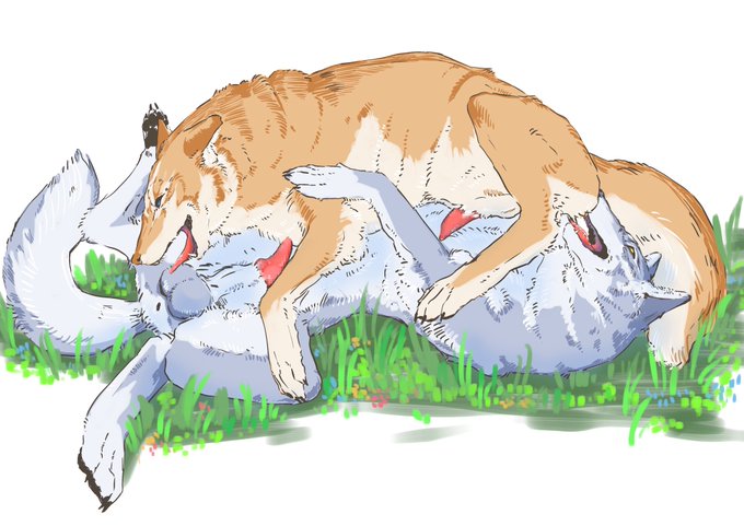 ヨツケモ  × 狼  69 