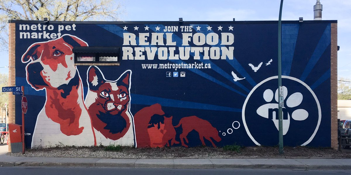 exploreretail's tweet photo. #ExploreRetail: Discovered in #YQR murals. Pulled me right into @MetroPetMarket and The Cathedral Pet Shop in @CathedralAreaCA to explore. Amazing variety of product offerings in these #local #petstores. Will be feeding the #officepets soon enough. #seeYQR #retaildestinations https://t.co/56V5EAWZyl